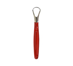 BumGum Stainless Steel Tongue Scraper with Aluminum Carry Case