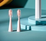 BumGum Gntl Sonic Toothbrush Replacement Brushhead
